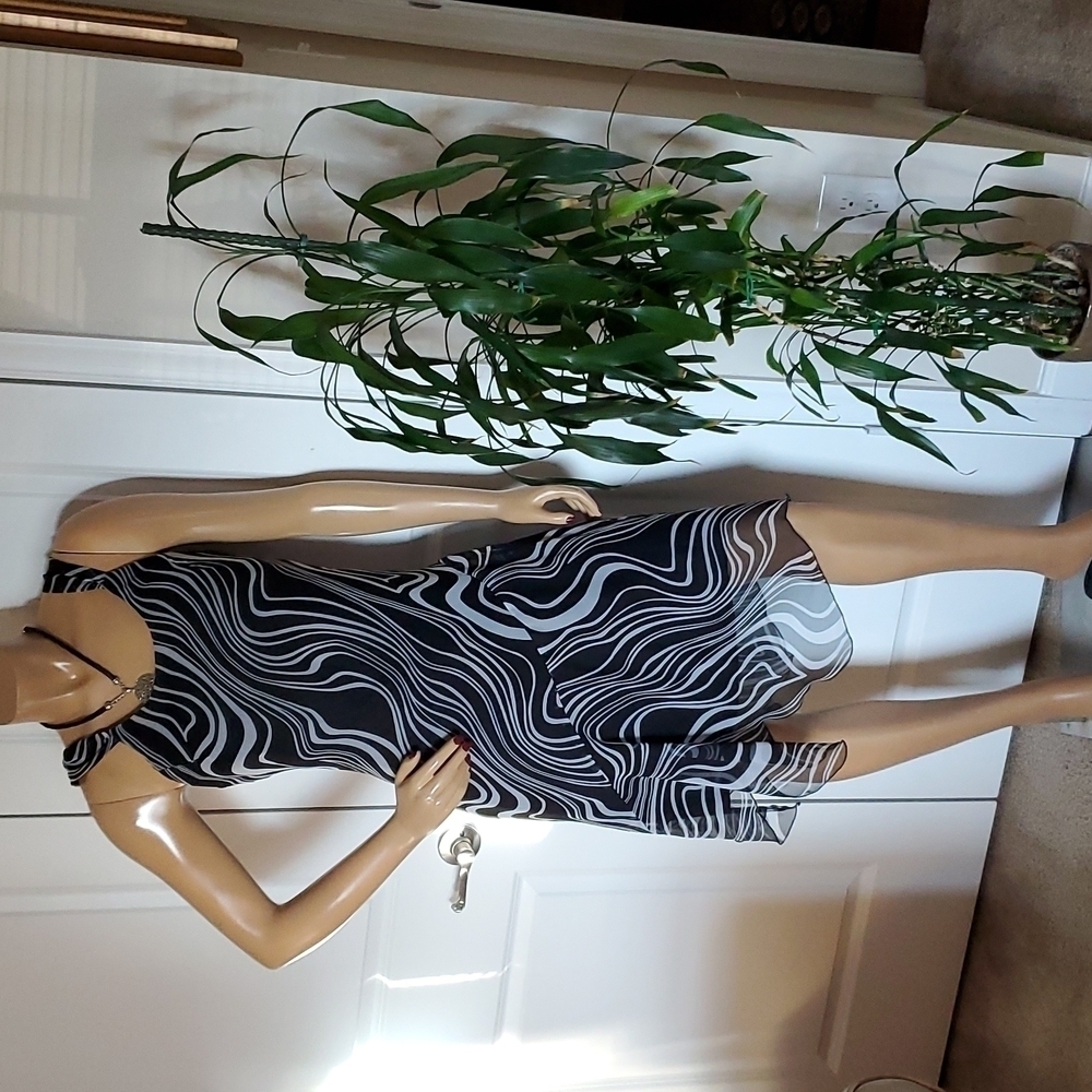 Songrio Sheer Dress Sz. 6, 5/$50